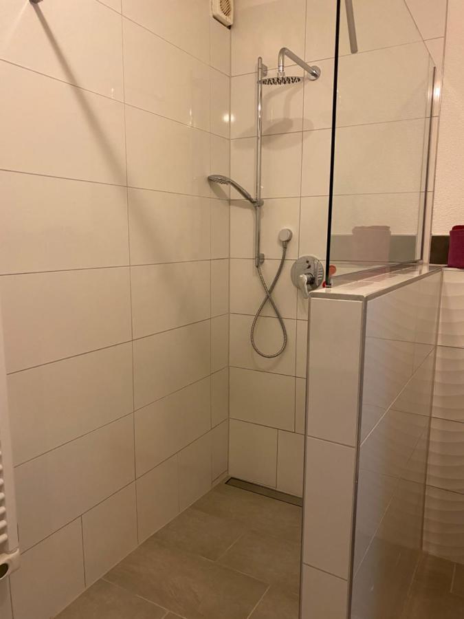Fewo Dana Lägenhet Neckarsteinach Exteriör bild