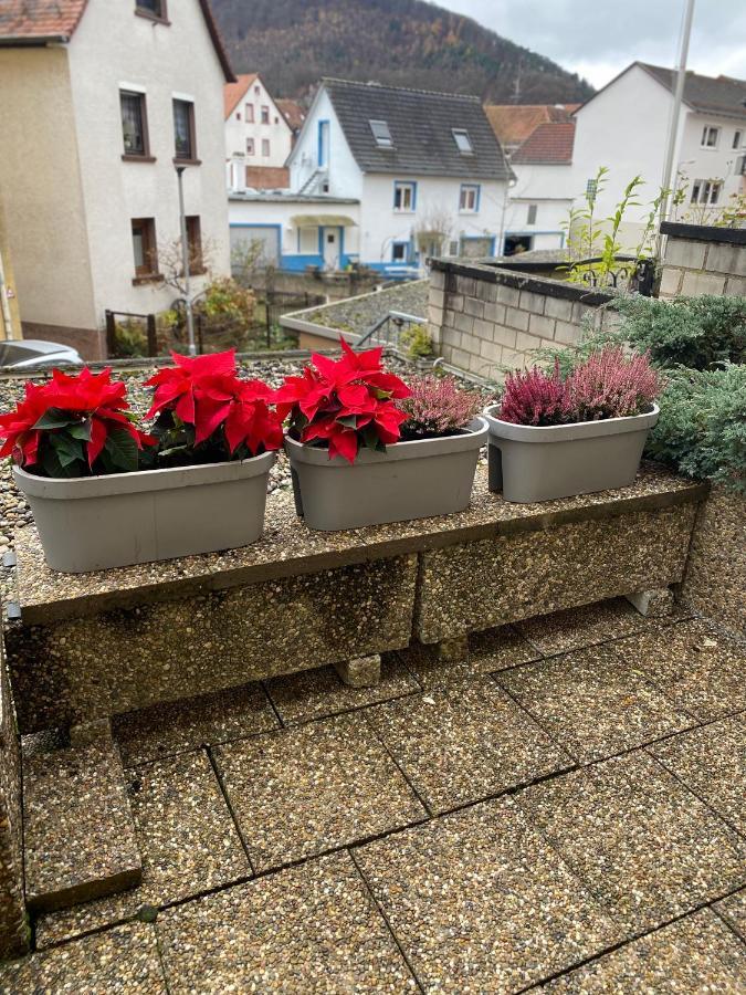 Fewo Dana Lägenhet Neckarsteinach Exteriör bild