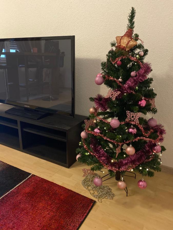 Fewo Dana Lägenhet Neckarsteinach Exteriör bild